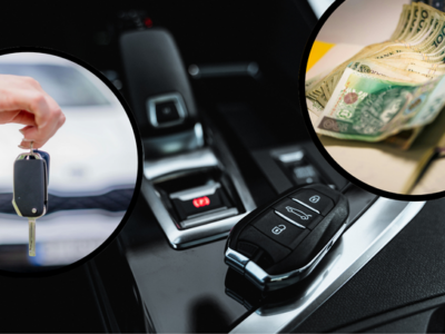 Polacy boją się elektryków?